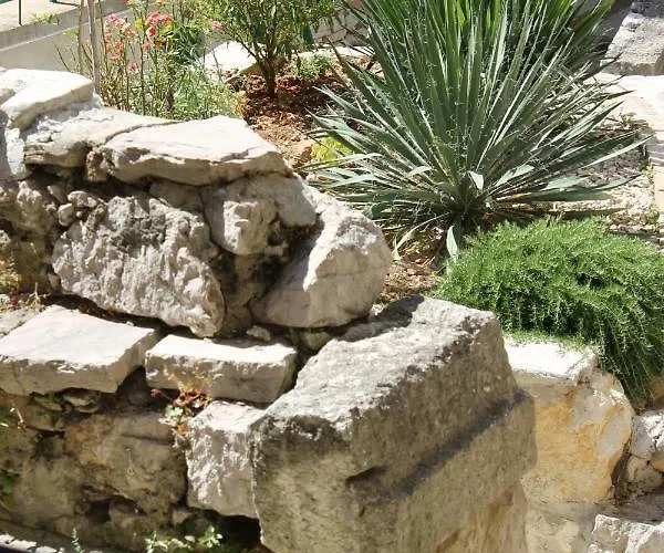 Illy Centre * שיבניק